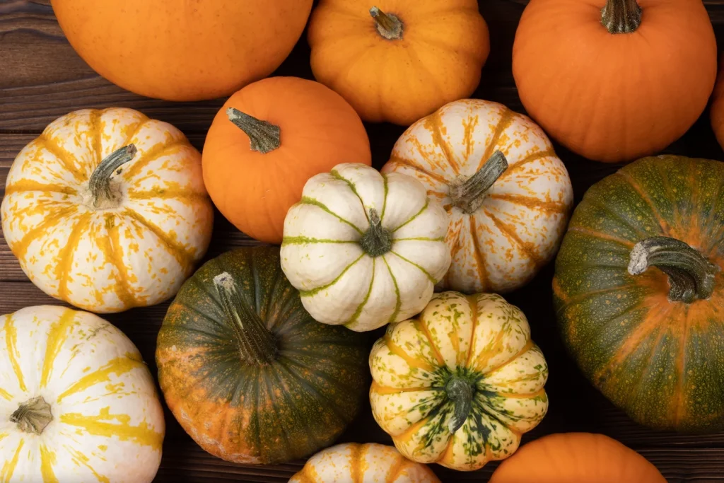 Scopriamo l’ingrediente: la zucca