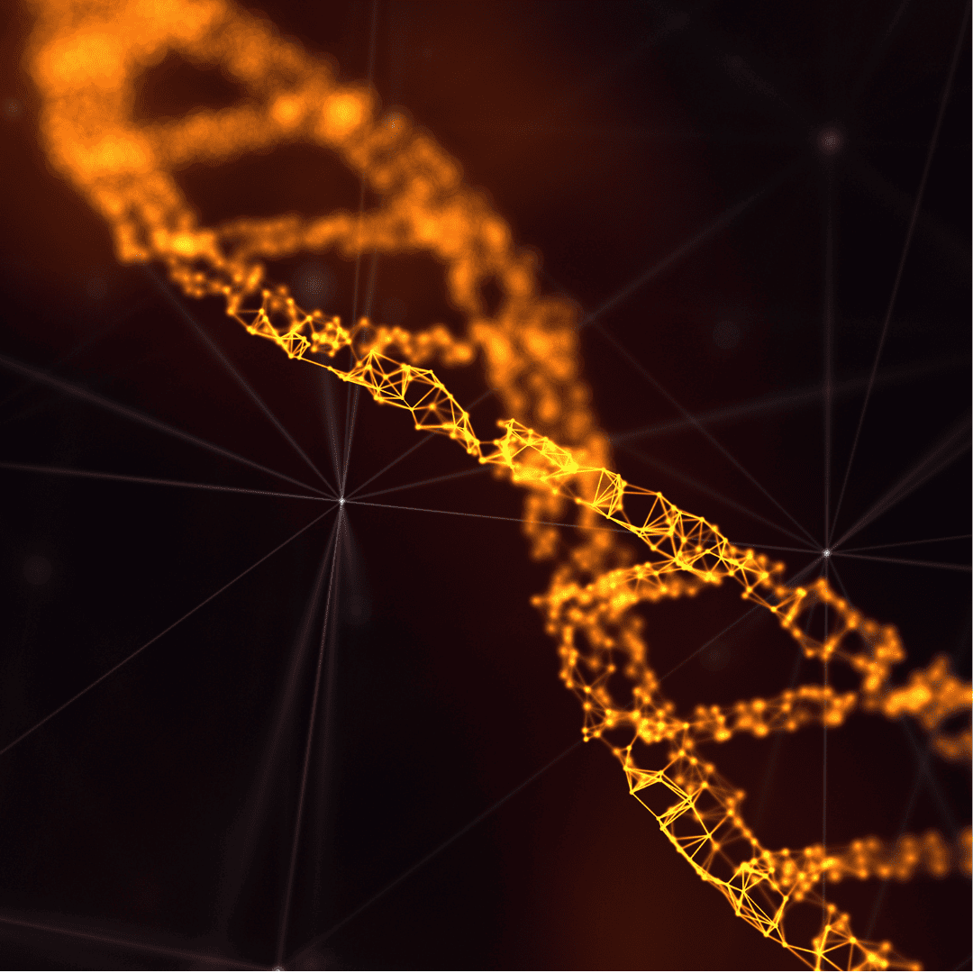 test-dna-hormone-balance